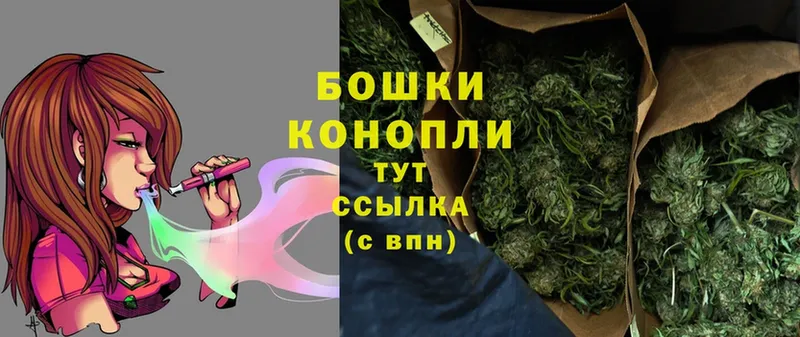 Бошки марихуана Bruce Banner  дарнет шоп  кракен ссылки  Навашино 